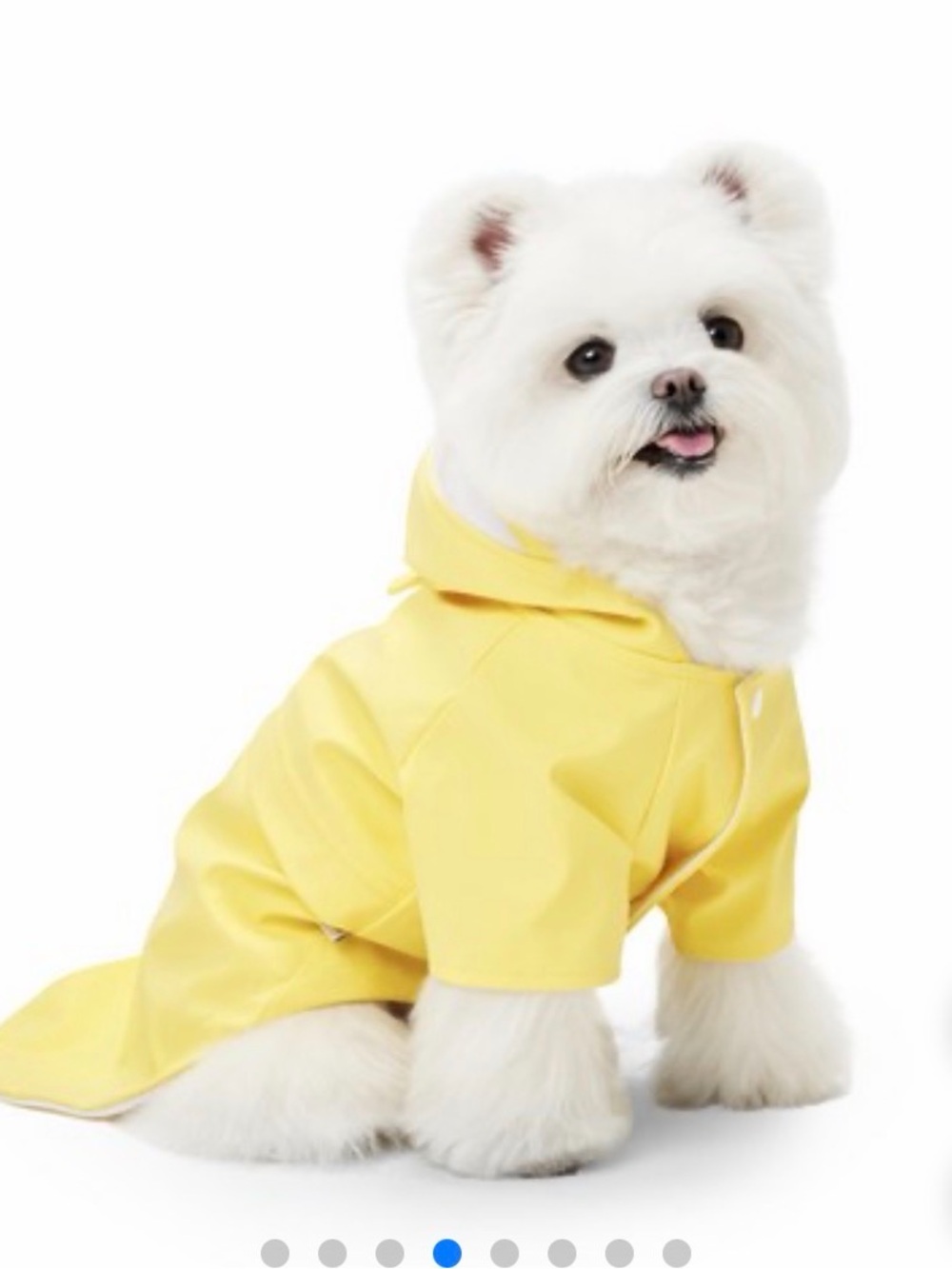 Bright Yellow Hooded Dog Raincoat